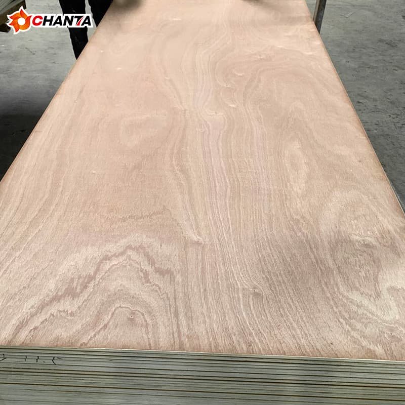 sapele plywood