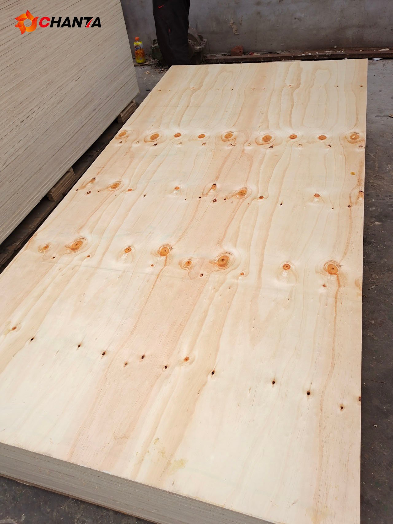 cdx pine plywood