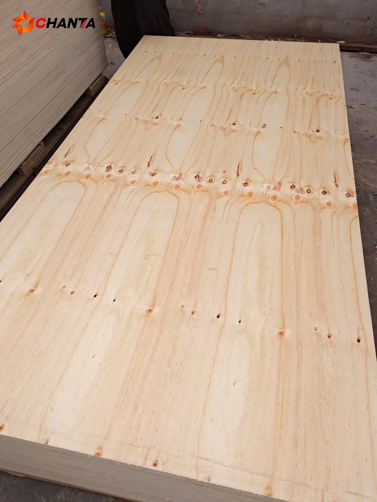 cdx pine plywood